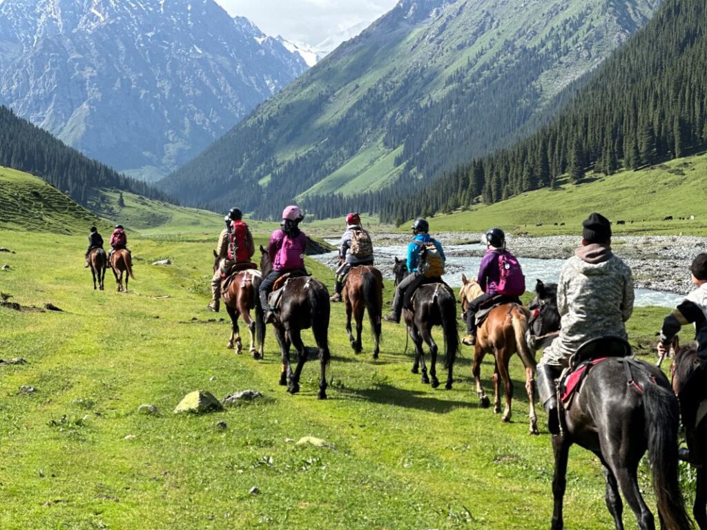 Horses.