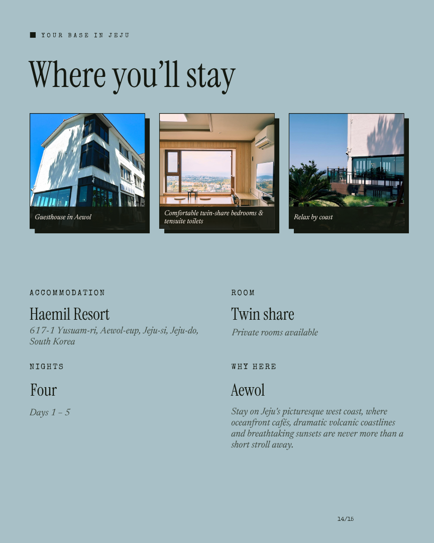Jeju Unwind: Cafés, Coastlines & Calm itinerary page 13