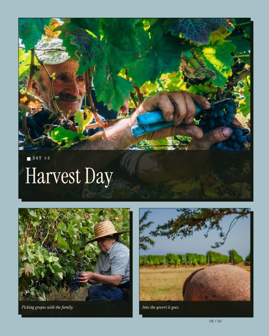 Georgia Unseen: Wine Harvest and Caucasus Mountains itinerary page 5