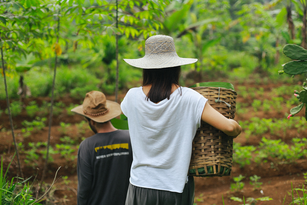 Farm life.