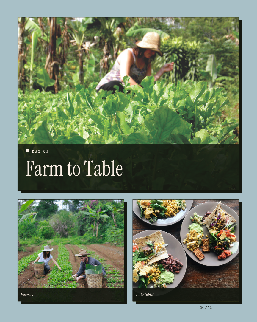 Farmcation Unwind: A Getaway from Jakarta itinerary page 3