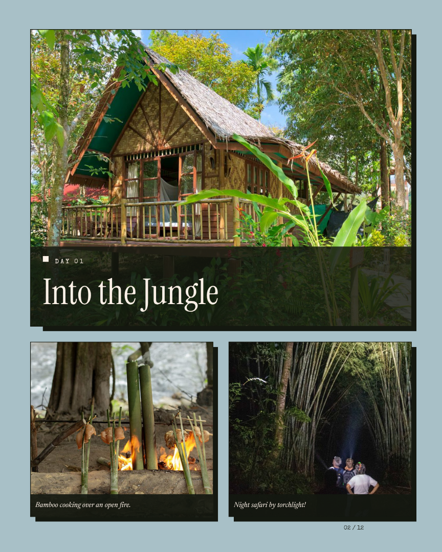 Thailand's Amazon Unwind: Rainforest, Lake & Mangroves itinerary page 3