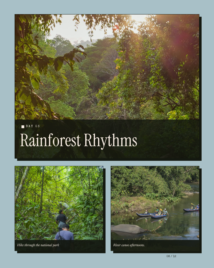 Thailand's Amazon Unwind: Rainforest, Lake & Mangroves itinerary page 5