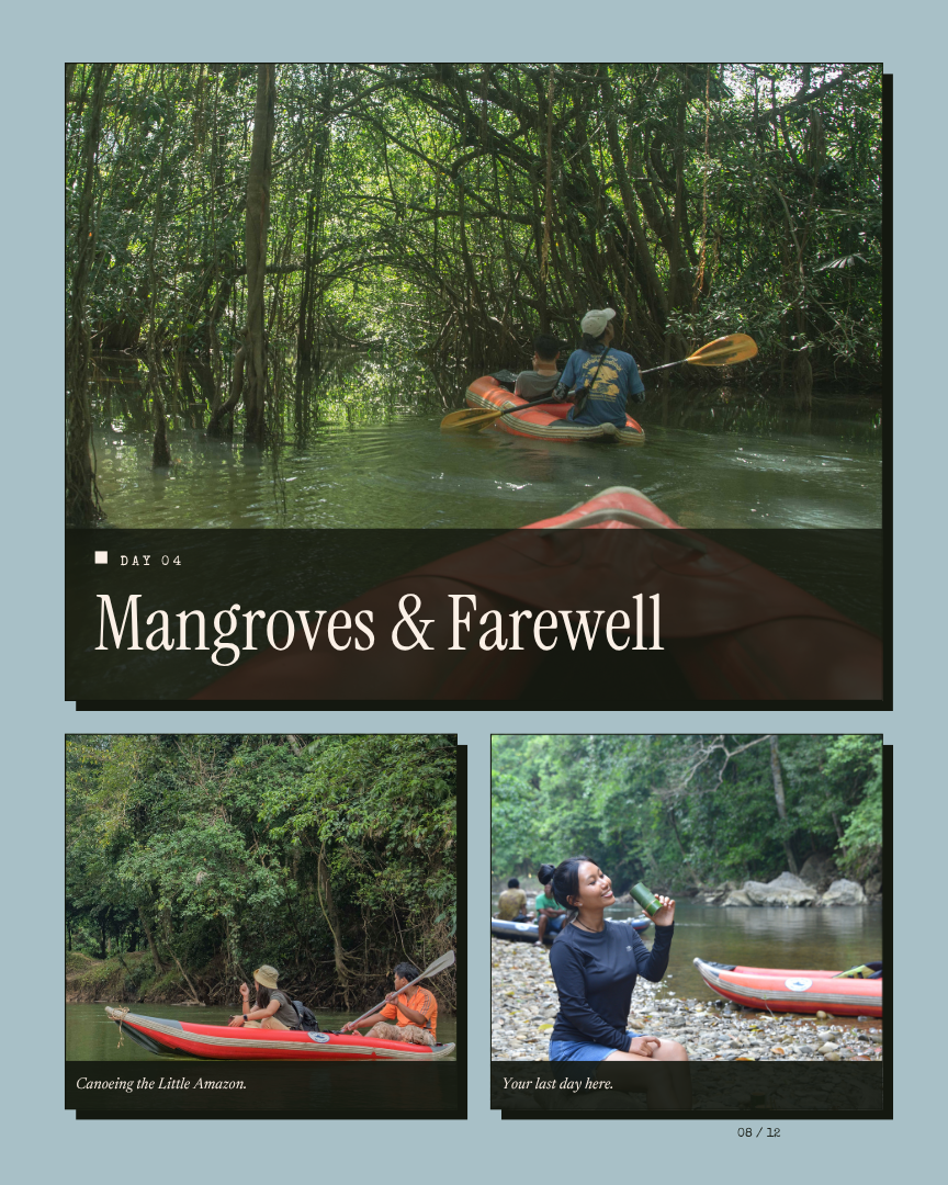 Thailand's Amazon Unwind: Rainforest, Lake & Mangroves itinerary page 7