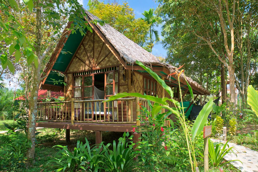 Our Jungle Camp — photo 1