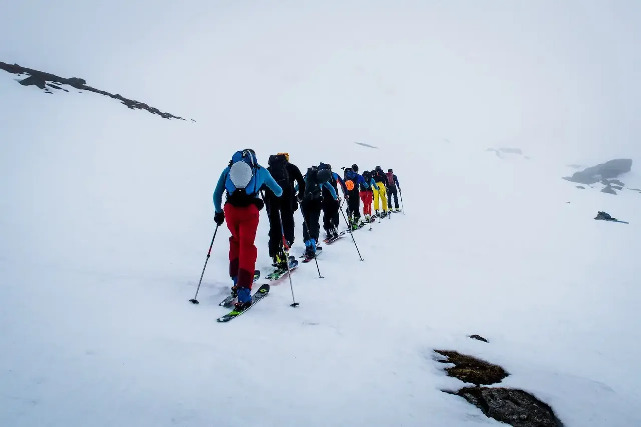 Snowshoe in Abisko.
