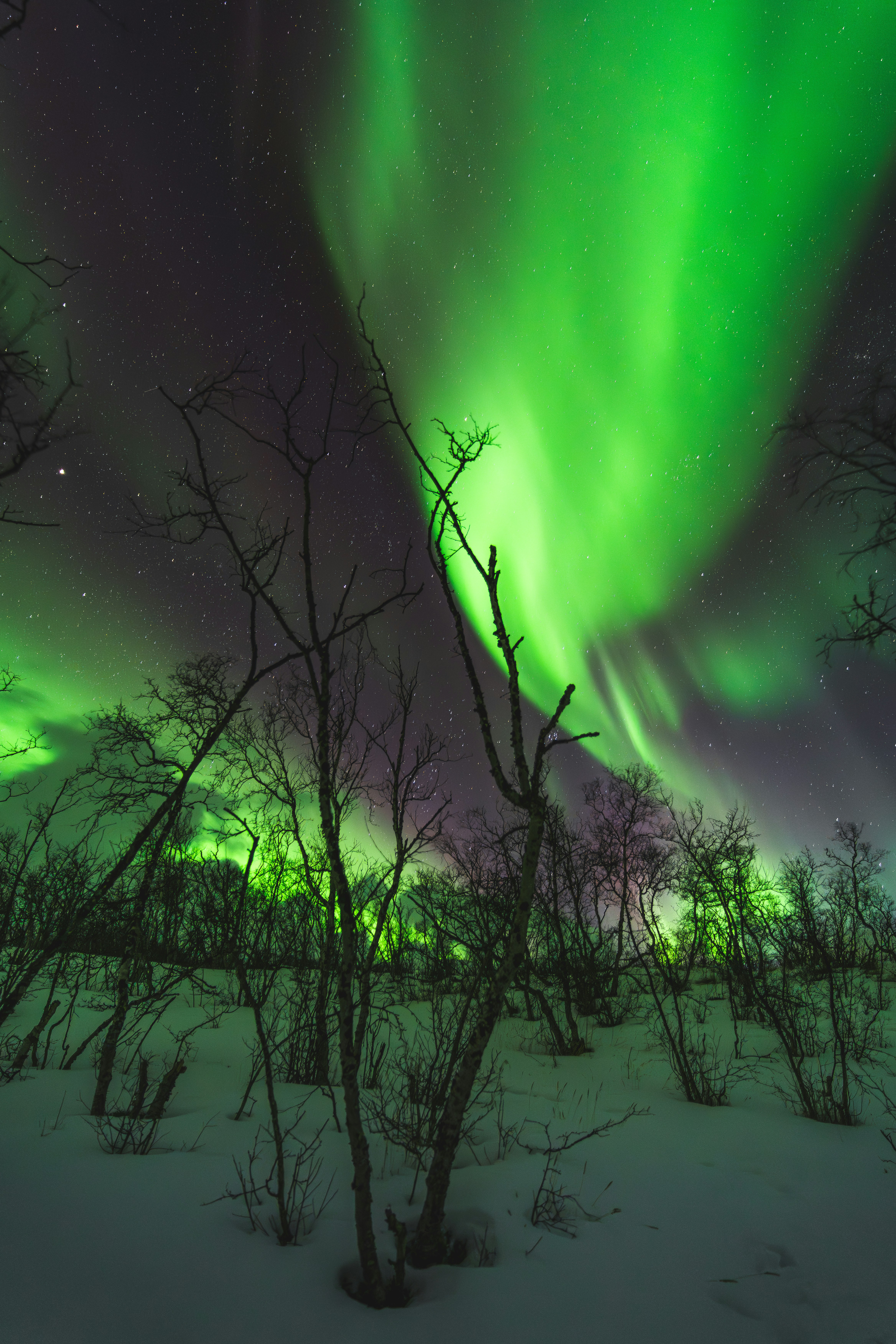 Try to catch the Northern Lights in one of the world's best viewing spots. - Abisko. 