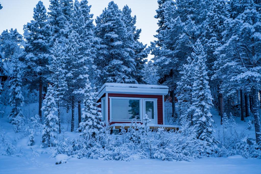 Kiruna Camp Aurora — photo 3