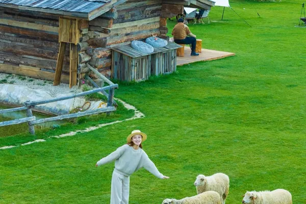 Chill with the free roaming animals at the hotel!